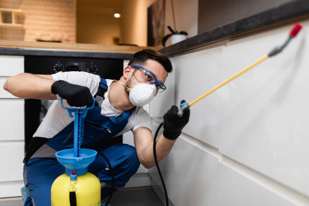 Best Pest Control Treatment  in Radium Springs, NM