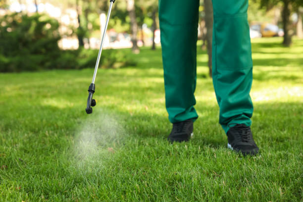 Best Pest Inspection Near Me  in Radium Springs, NM