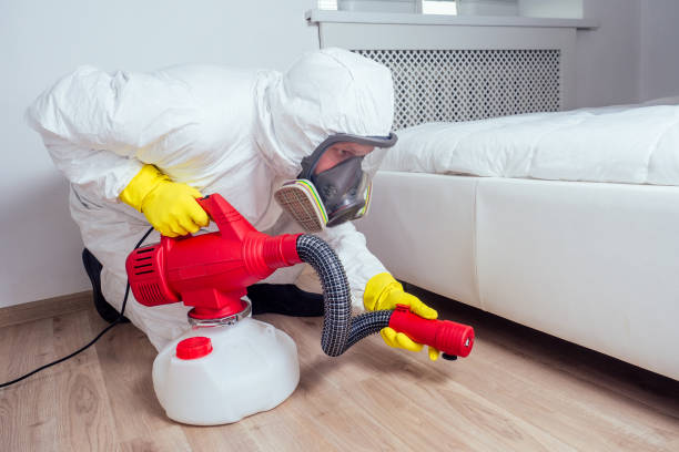 Professional Pest Control in Radium Springs, NM