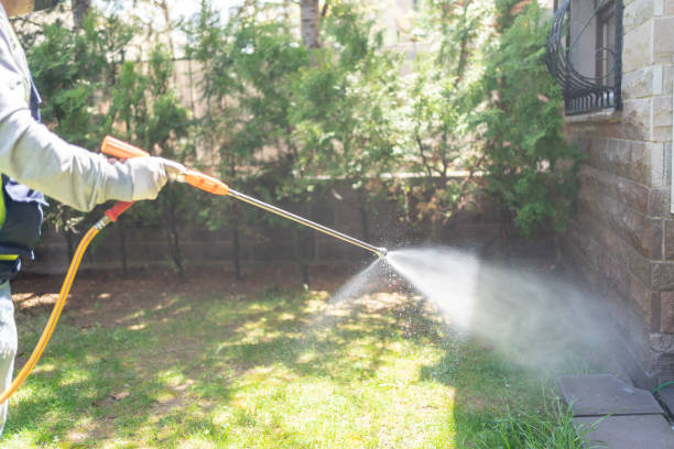 Trusted Radium Springs, NM Pest Control Experts