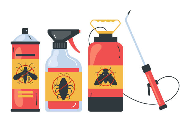 Best Termite Control Services  in Radium Springs, NM