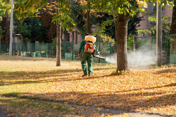 Best Exterminator Services  in Radium Springs, NM