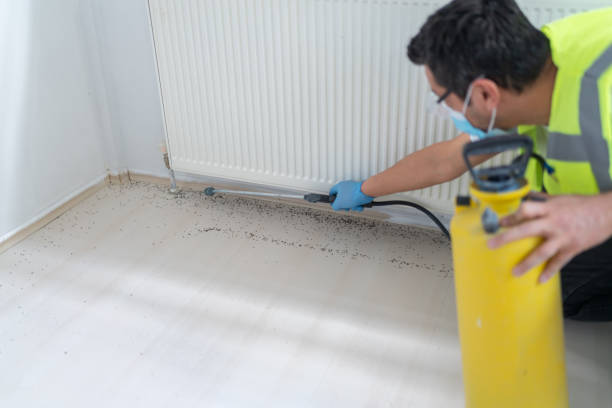 Best Pest Prevention Services  in Radium Springs, NM